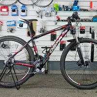 Dema Auron 29 SLX, foto 1