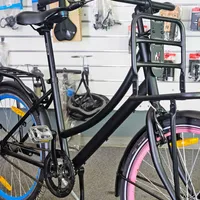 Popal Daily Dutch Basic 24", foto 3