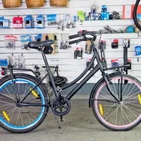 Popal Daily Dutch Basic 24", foto 5