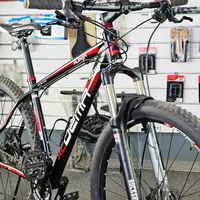 Dema Auron 29 SLX, foto 3