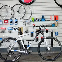 Author Dexter 29" XC MTB XL, foto 4