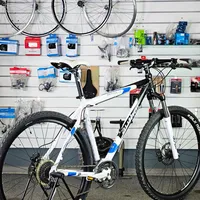 Author Dexter 29" XC MTB XL, foto 5