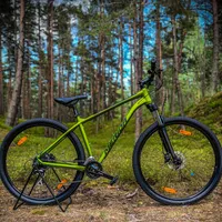 MERIDA BIG NINE 20 2X, foto 9