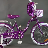 Mexller Village 20" Purple, foto 2