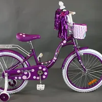 Mexller Village 20" Purple, foto 3