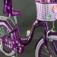 Mexller Village 20" Purple, foto 7
