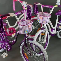 Mexller Village 20" Purple, foto 11