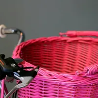 Pītais groziņš, foto 2