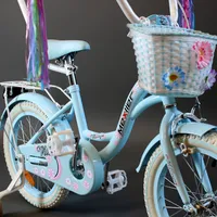 Mexller Village 16" Light Blue, foto 8