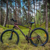 MERIDA BIG NINE 60 2X, foto 4